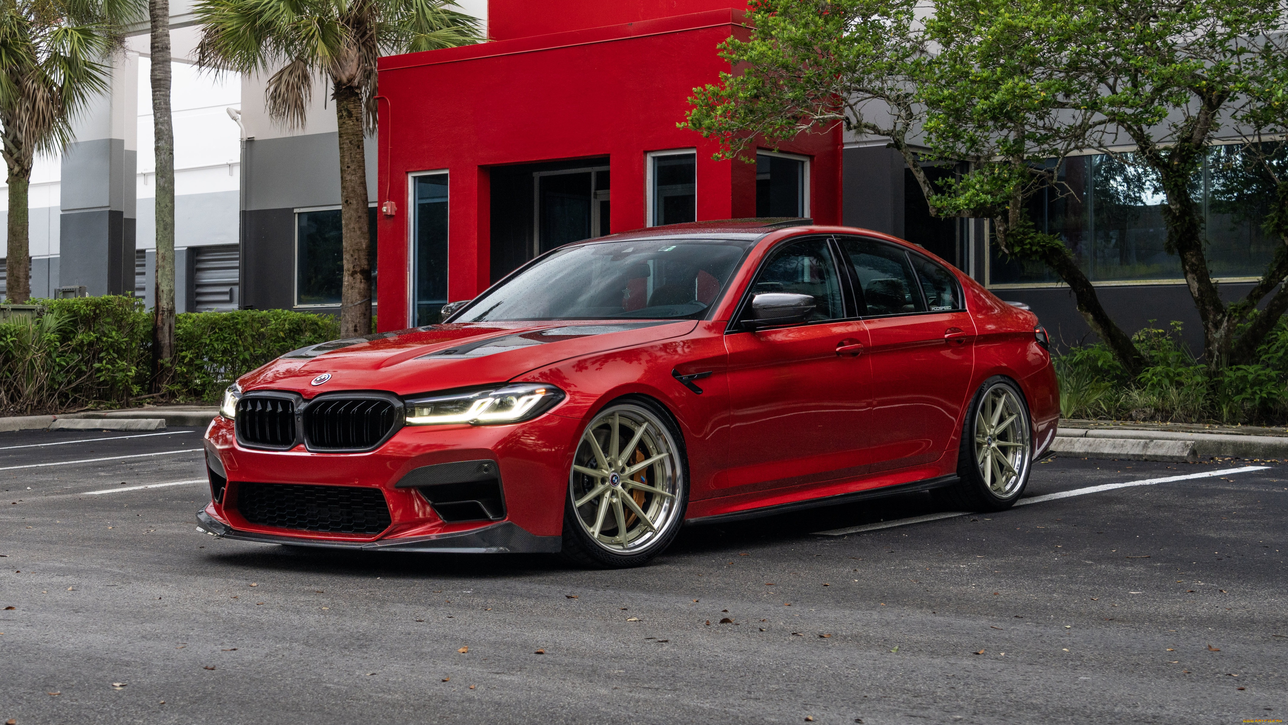 bmw m5, , bmw, m5, red